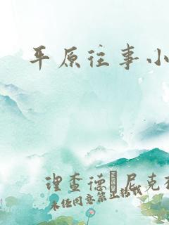 平原往事小说