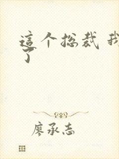 这个总裁 我要了