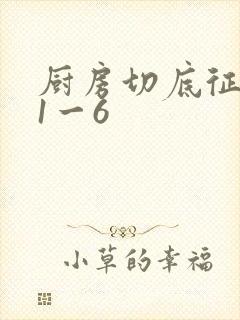 厨房切底征服岳1一6