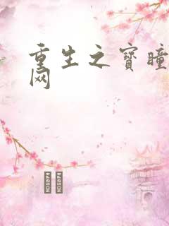 重生之宝瞳书书网