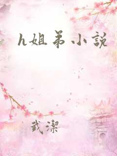 h姐弟小说