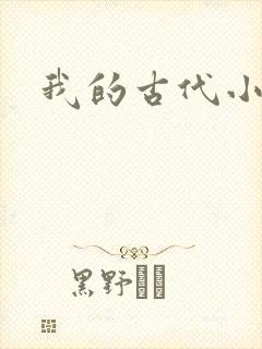 我的古代小夫侍