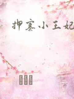押寨小王妃