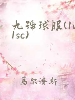 九号球服(1v1sc)