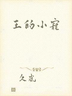 王的小宠