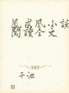 凤求凰小说免费阅读全文