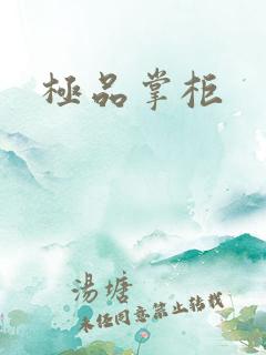 极品掌柜