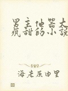 男主他器大活好疯甜的小说