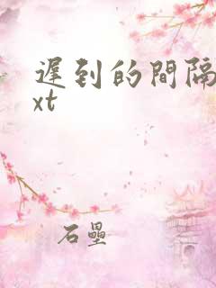 迟到的间隔年txt