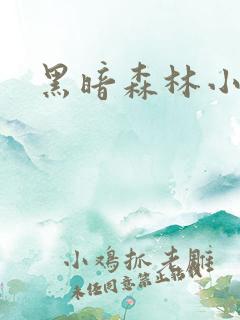 黑暗森林小说