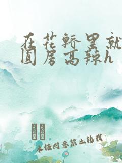 在花轿里就开始圆房高辣h