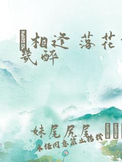 囍相逢 落花能几醉