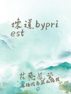 坏道bypriest