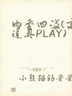 肉香四溢(高H道具PLAY)
