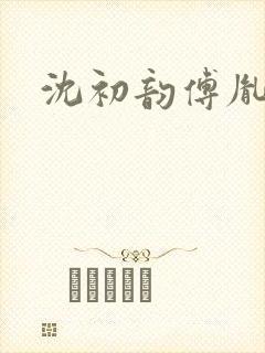 沈初韵傅胤小说