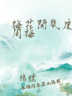 梅花开几度老张周梅