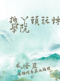 拽丫头玩转美男学院