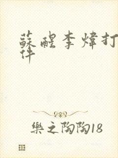 苏醒李炜打架事件