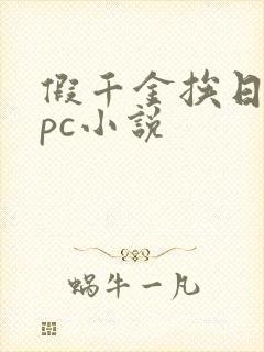 假千金挨日记npc小说