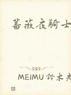 蔷薇夜骑士