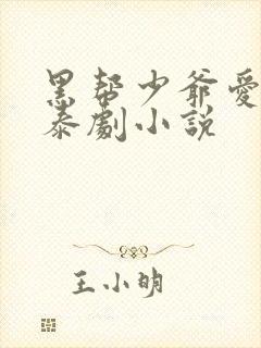 黑帮少爷爱上我泰剧小说