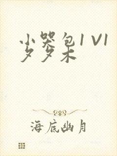 小哭包1 V1夕夕木