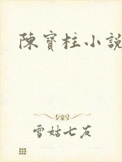 陈宝柱小说