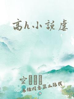 高h小说虐