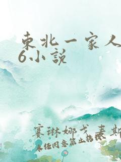 东北一家人1一6小说