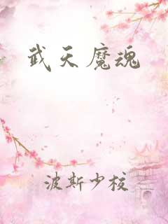 武天魔魂