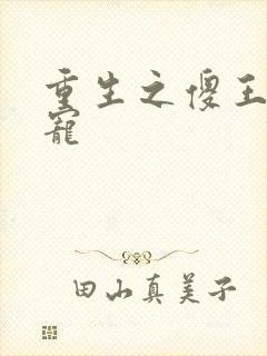 重生之傻王心尖宠