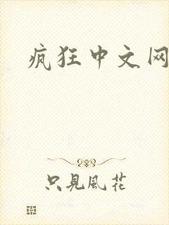 疯狂中文网
