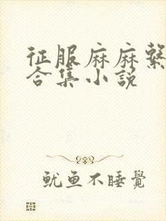 征服麻麻系列大合集小说