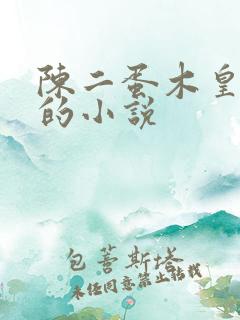 陈二蛋木皇真经的小说