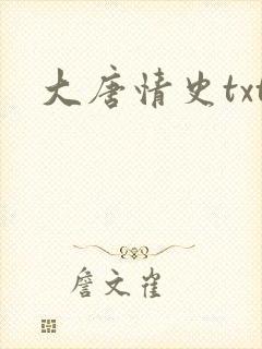 大唐情史txt