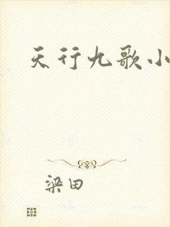 天行九歌小说