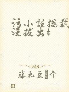 污小说总裁整夜没拔出t