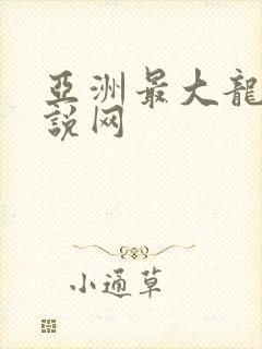 亚洲最大龙腾小说网