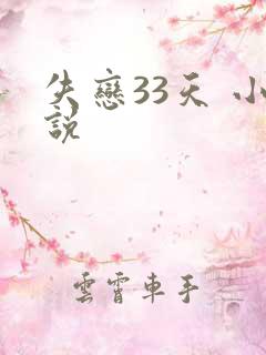 失恋33天 小说