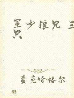 军少狼兄 三两只