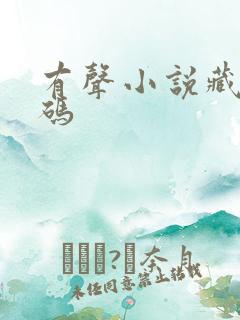 有声小说藏地密码