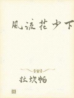 风流花少下载