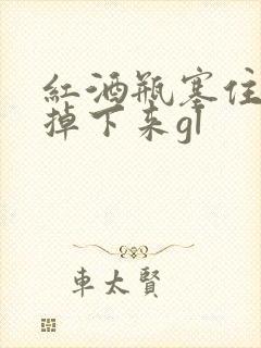 红酒瓶塞住不准掉下来gl