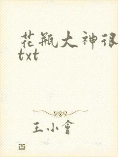 花瓶大神很菜鸟txt