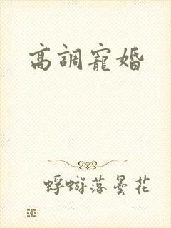 高调宠婚