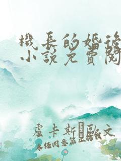 机长的婚后日常小说免费阅读