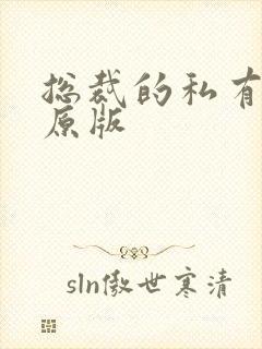 总裁的私有宝贝原版