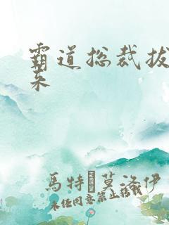 霸道总裁拔不出来