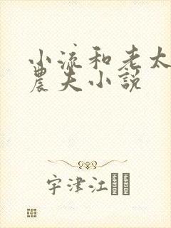 小流和老太69农夫小说