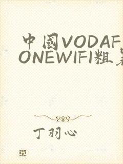 中国VODAFONEWIFI粗暴APP